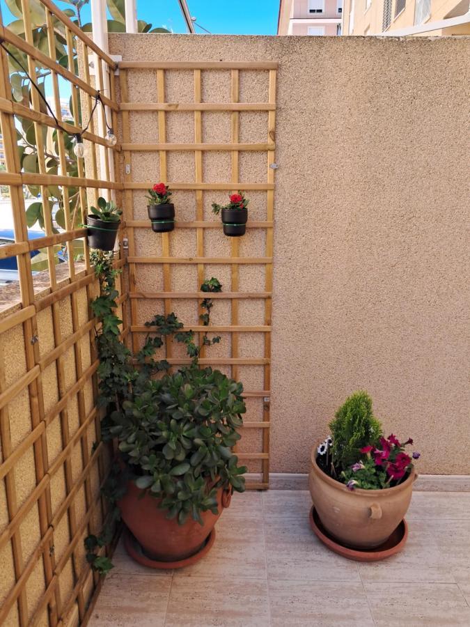 Apartamento Dama De Guardamar Lejlighed Guardamar del Segura Eksteriør billede